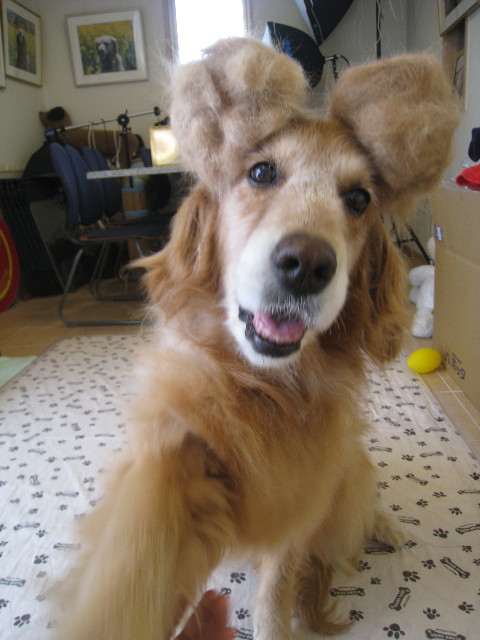 ファイル 893-1.jpg