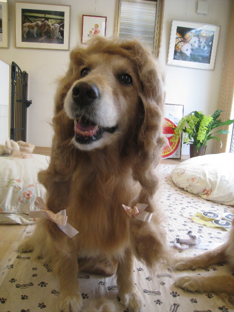 ファイル 893-3.jpg