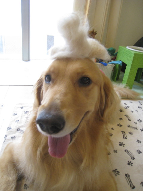 ファイル 893-5.jpg