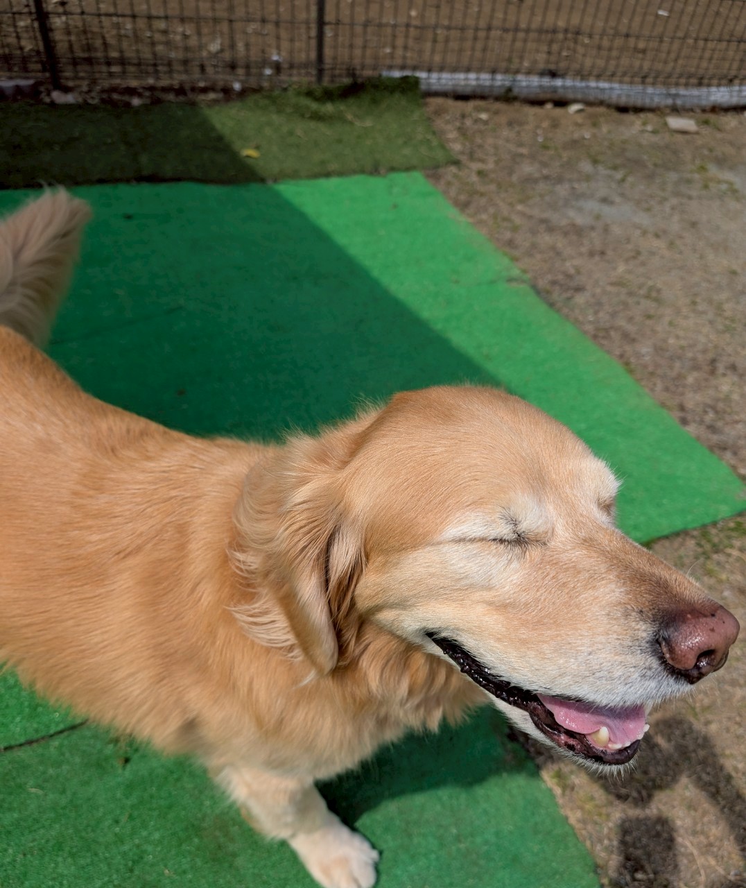 ファイル 8930-1.jpeg