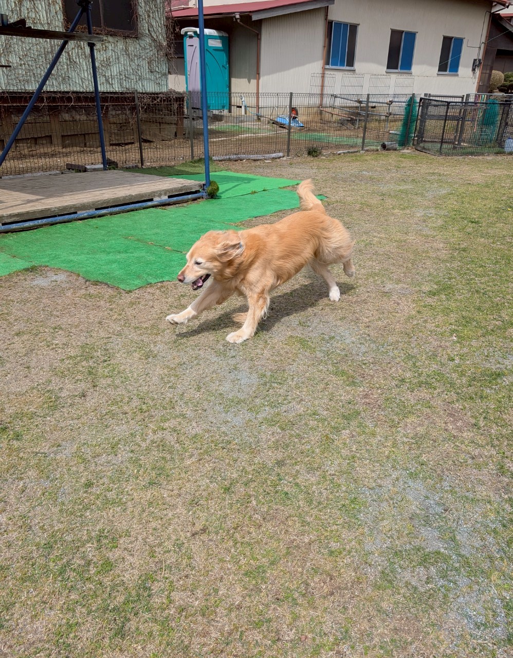 ファイル 8930-2.jpeg