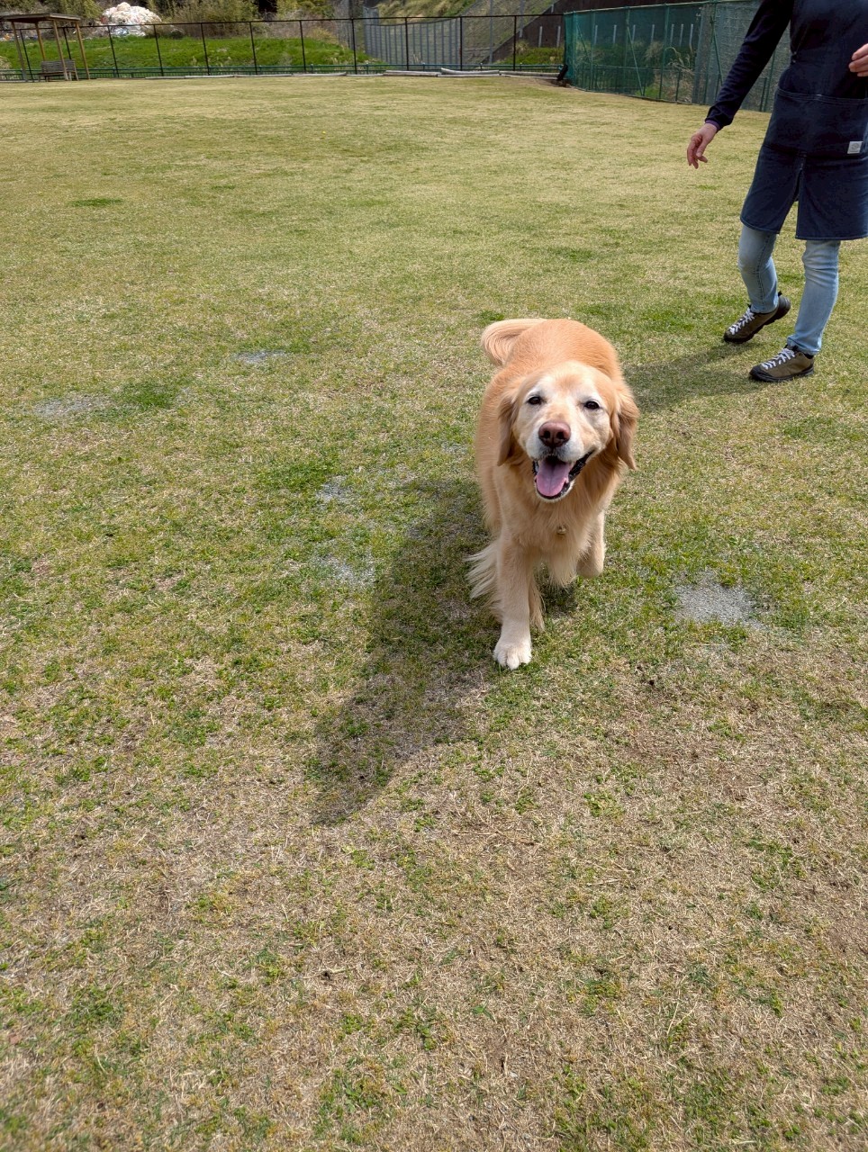 ファイル 8930-3.jpeg