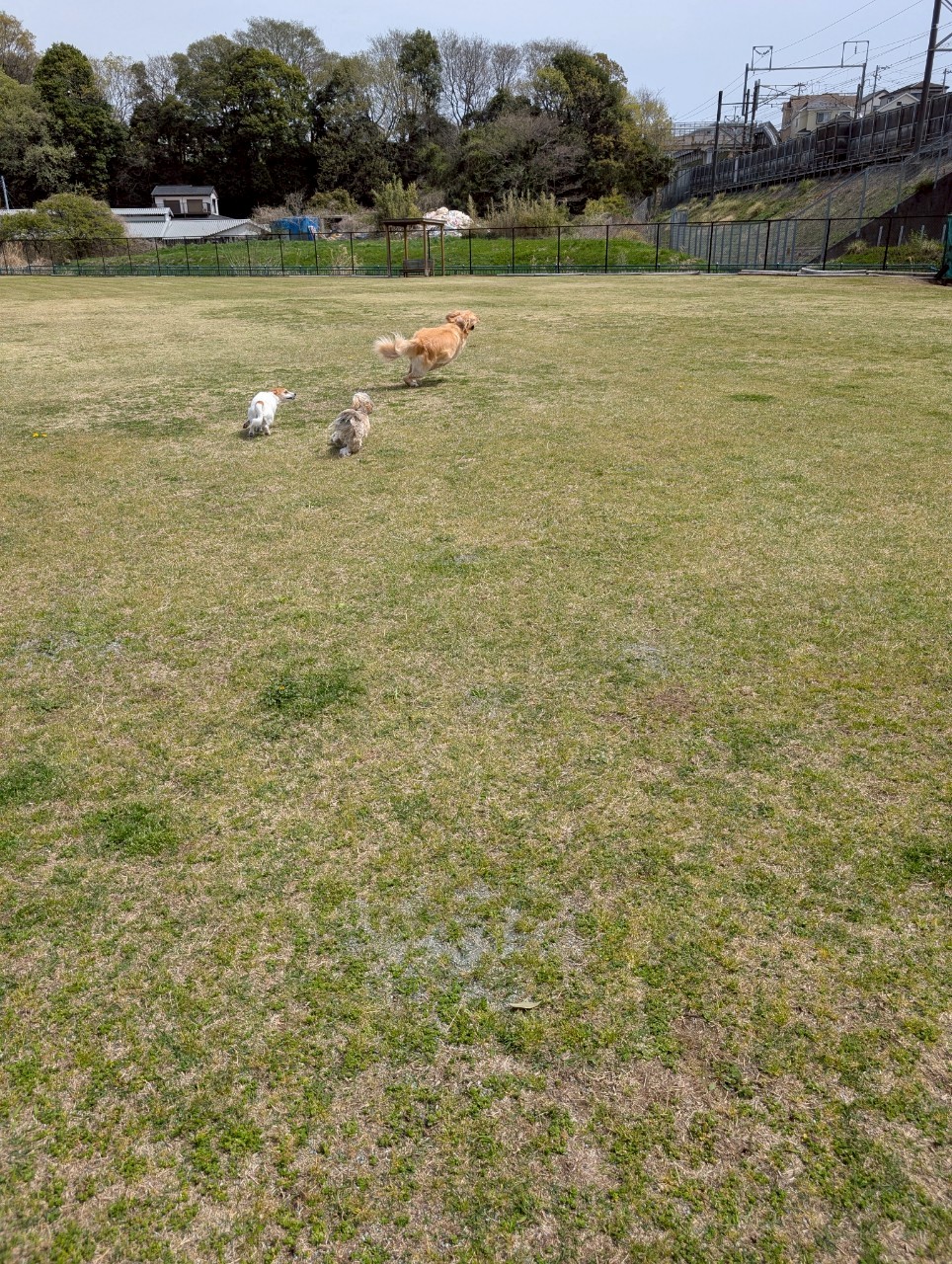 ファイル 8930-4.jpeg