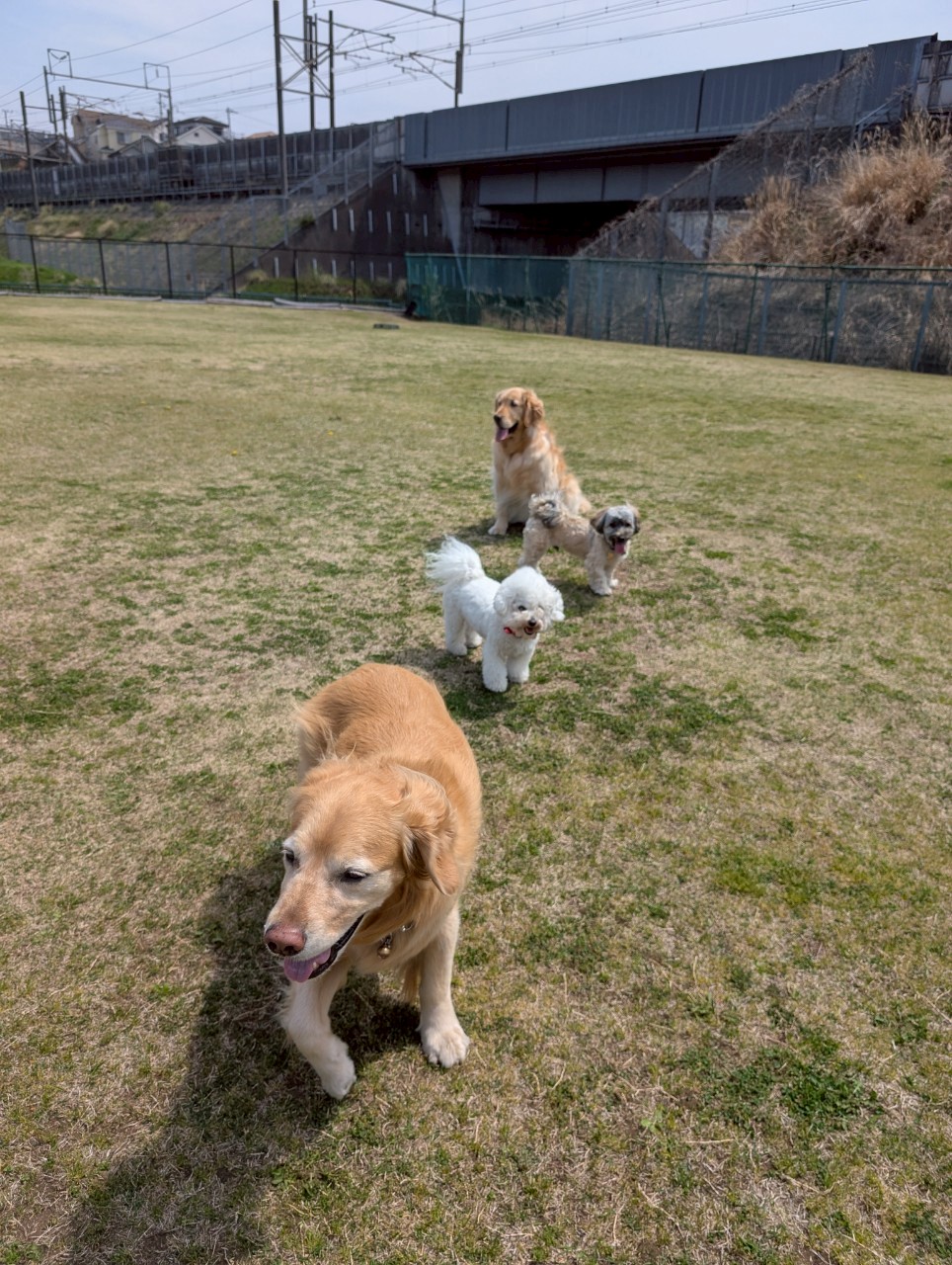 ファイル 8930-5.jpeg