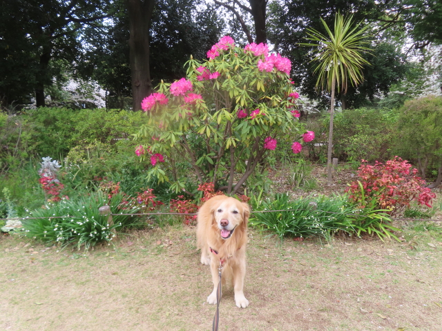 ファイル 8931-5.jpg