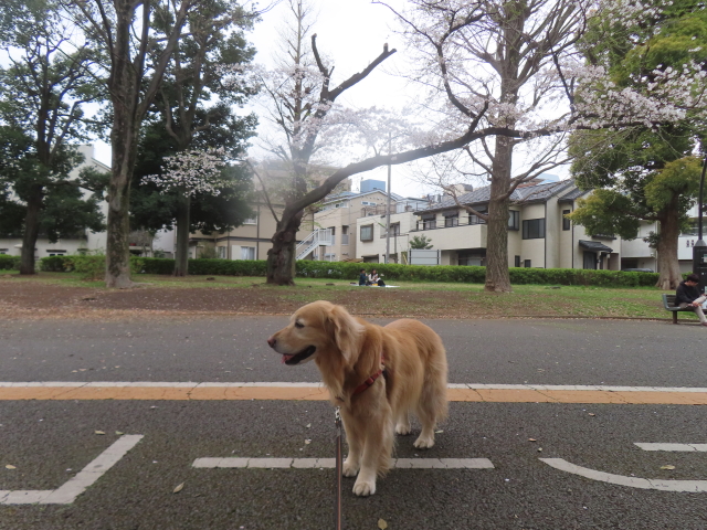 ファイル 8932-5.jpg