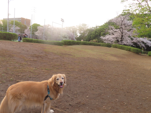 ファイル 8933-4.jpg