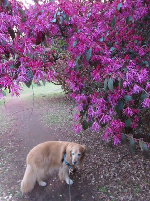 ファイル 8933-5.jpg