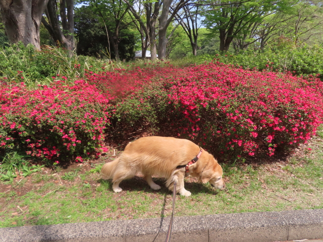 ファイル 8934-3.jpg