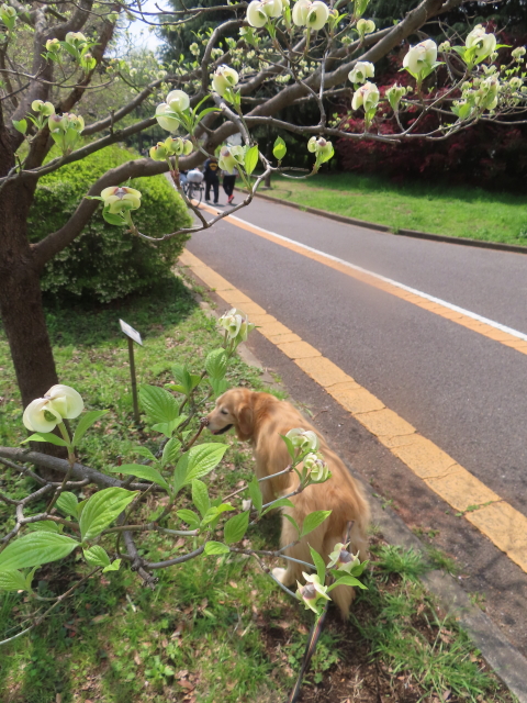 ファイル 8934-4.jpg