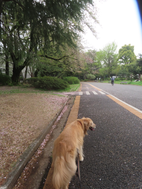 ファイル 8934-5.jpg