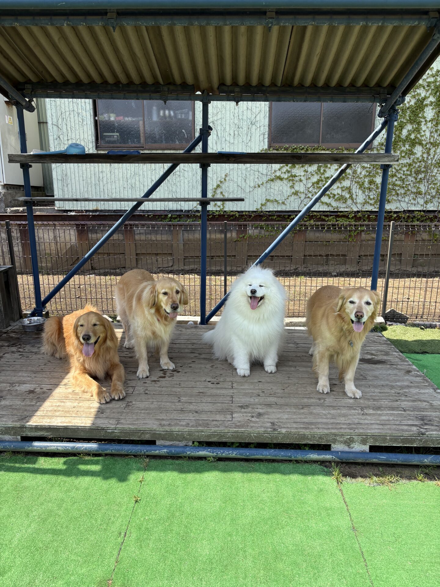 ファイル 8935-2.jpeg