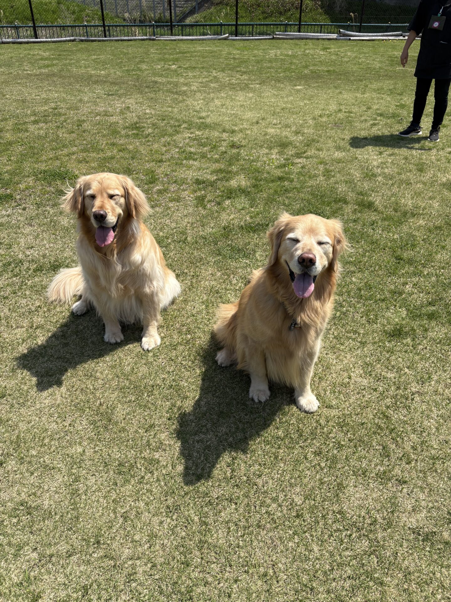 ファイル 8935-3.jpeg