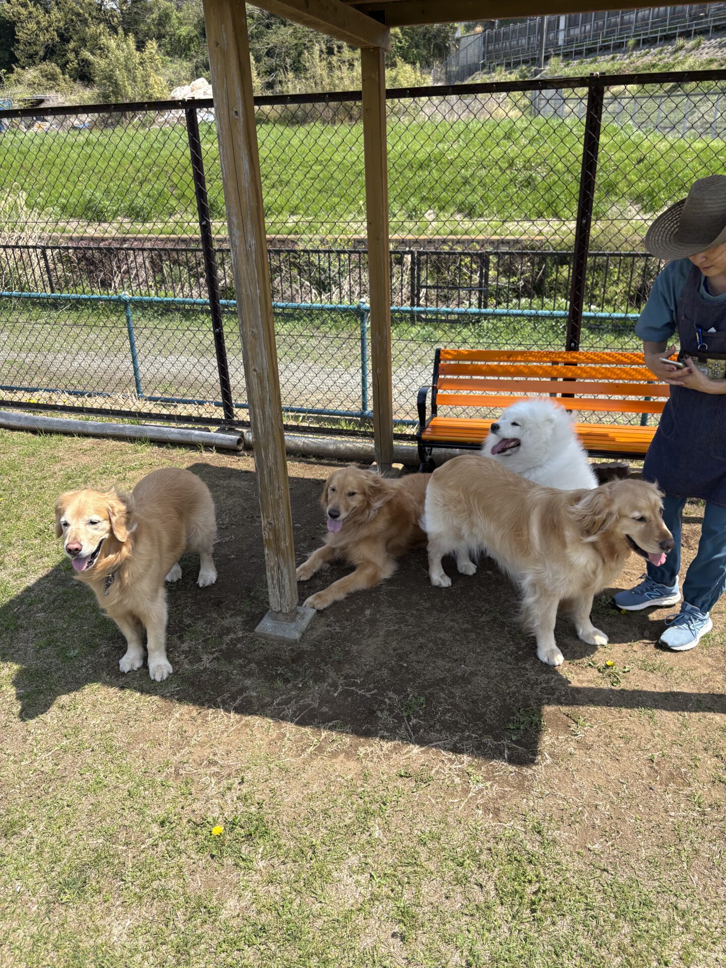 ファイル 8935-4.jpeg