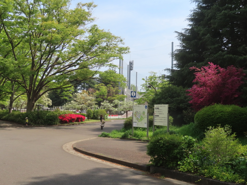 ファイル 8936-1.jpg