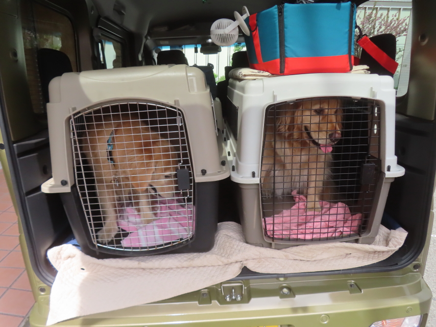 ファイル 8936-2.jpg