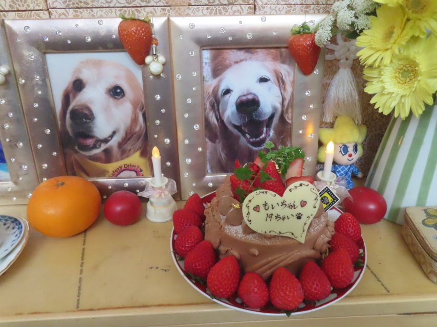 ファイル 8936-3.jpg