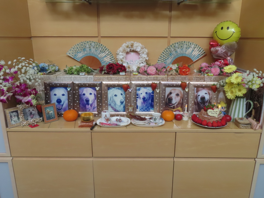 ファイル 8936-4.jpg