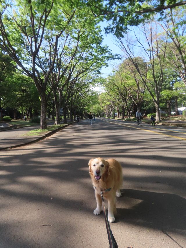 ファイル 8937-1.jpg