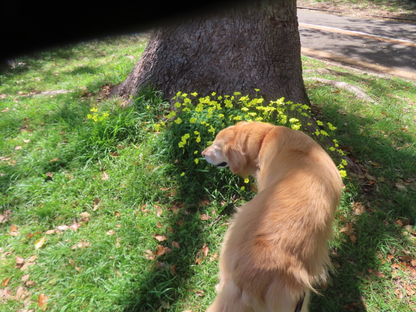 ファイル 8937-4.jpg