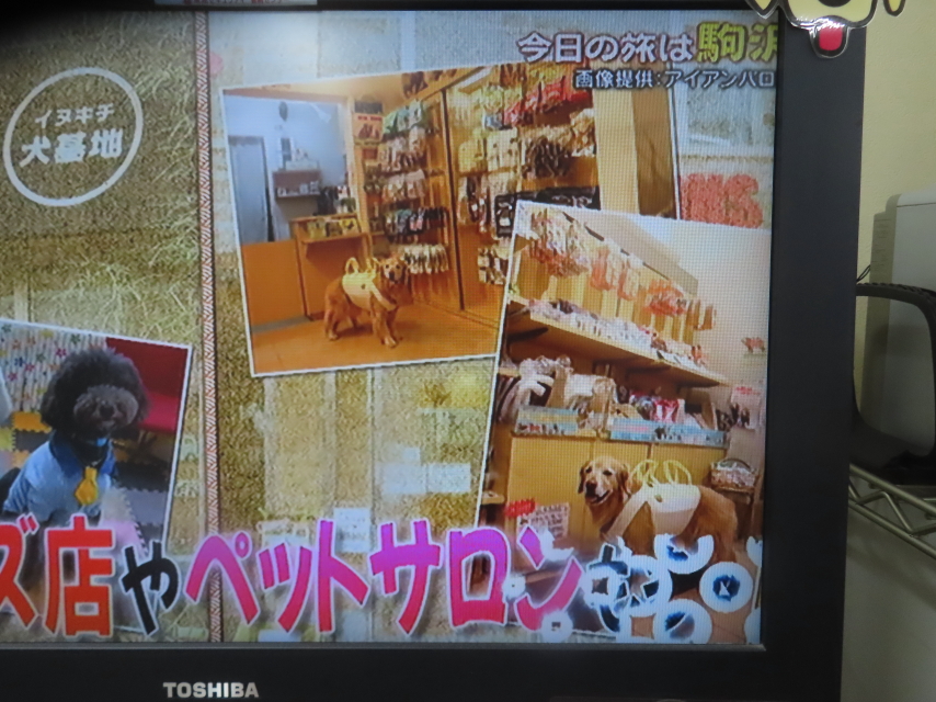 ファイル 8938-1.jpg