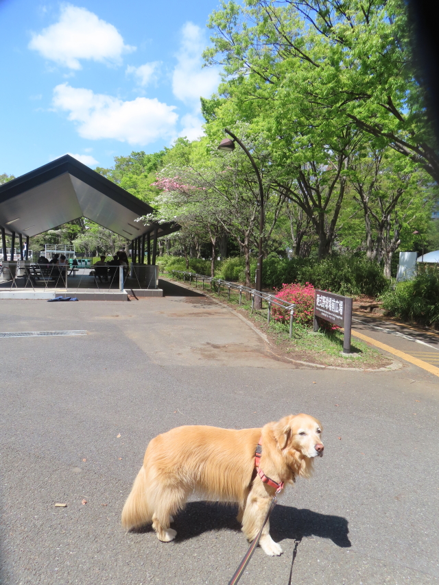 ファイル 8938-3.jpg