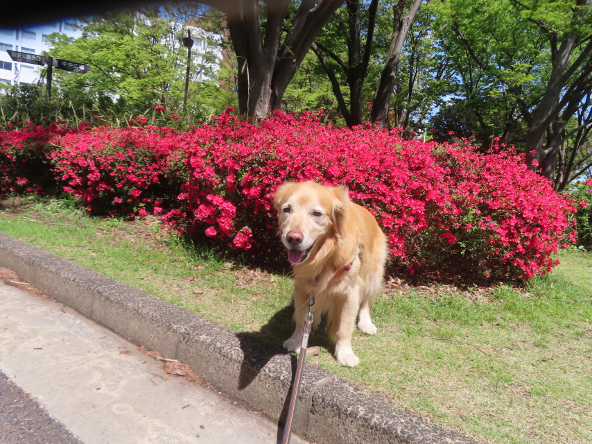 ファイル 8938-5.jpg