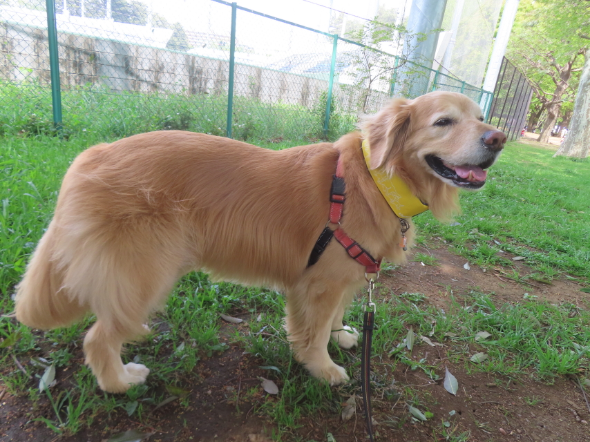 ファイル 8939-1.jpg