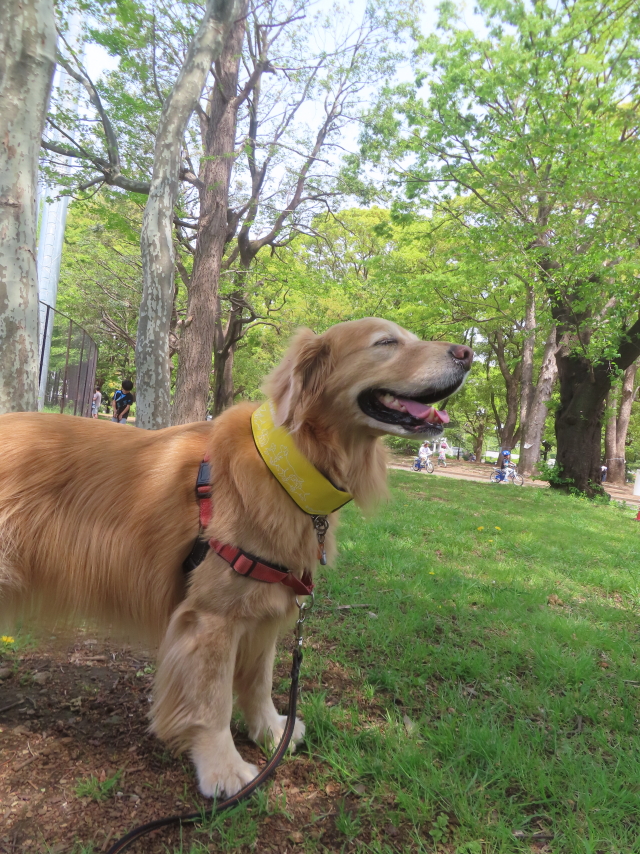 ファイル 8939-2.jpg