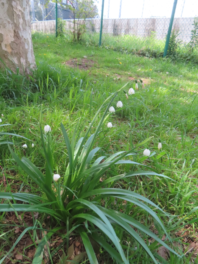 ファイル 8939-3.jpg