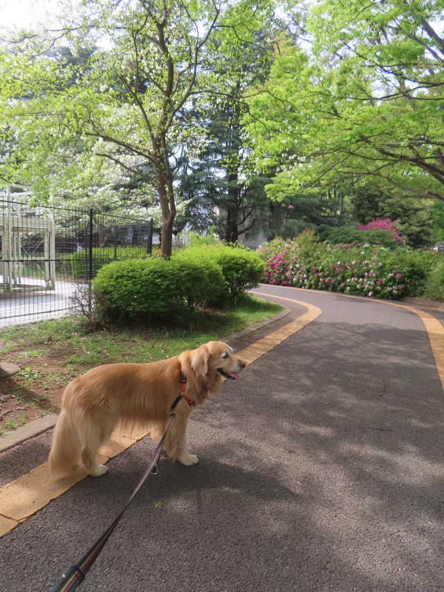 ファイル 8939-4.jpg