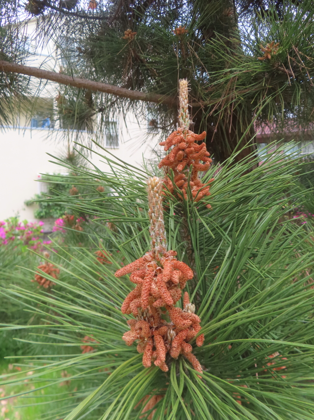 ファイル 8940-2.jpg