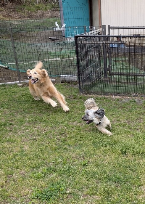 ファイル 8941-1.jpeg