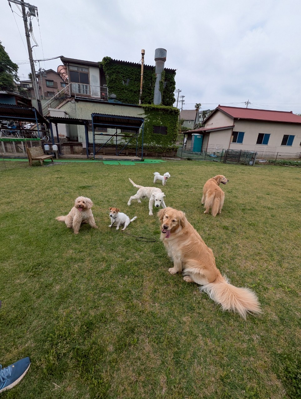 ファイル 8941-2.jpeg