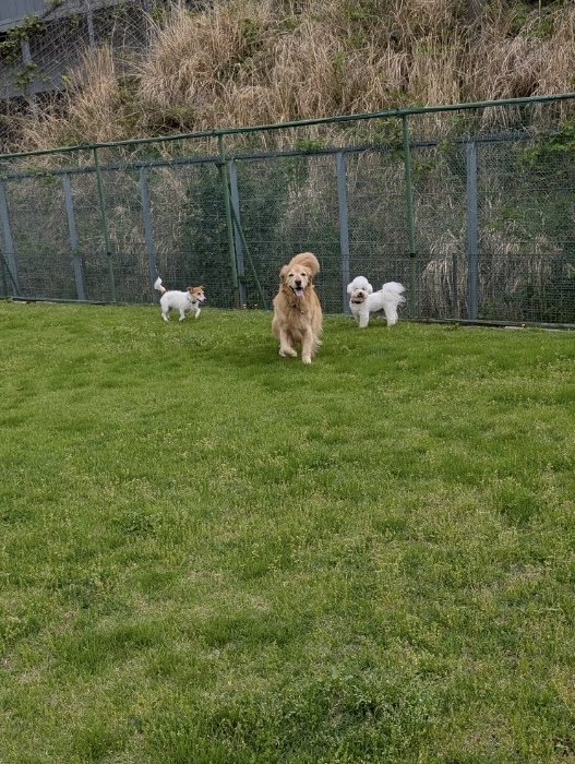 ファイル 8941-3.jpeg