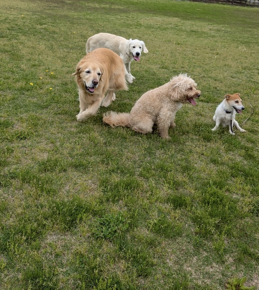 ファイル 8941-4.jpeg