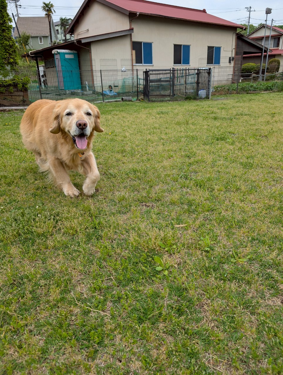 ファイル 8941-5.jpeg