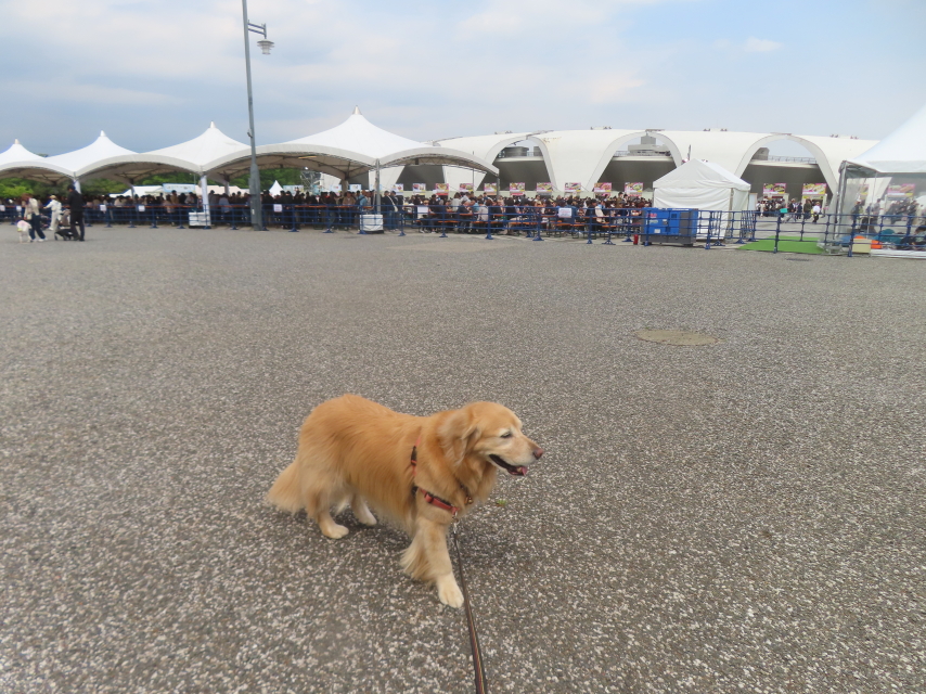 ファイル 8943-3.jpg