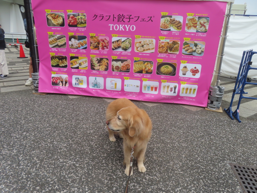 ファイル 8943-4.jpg