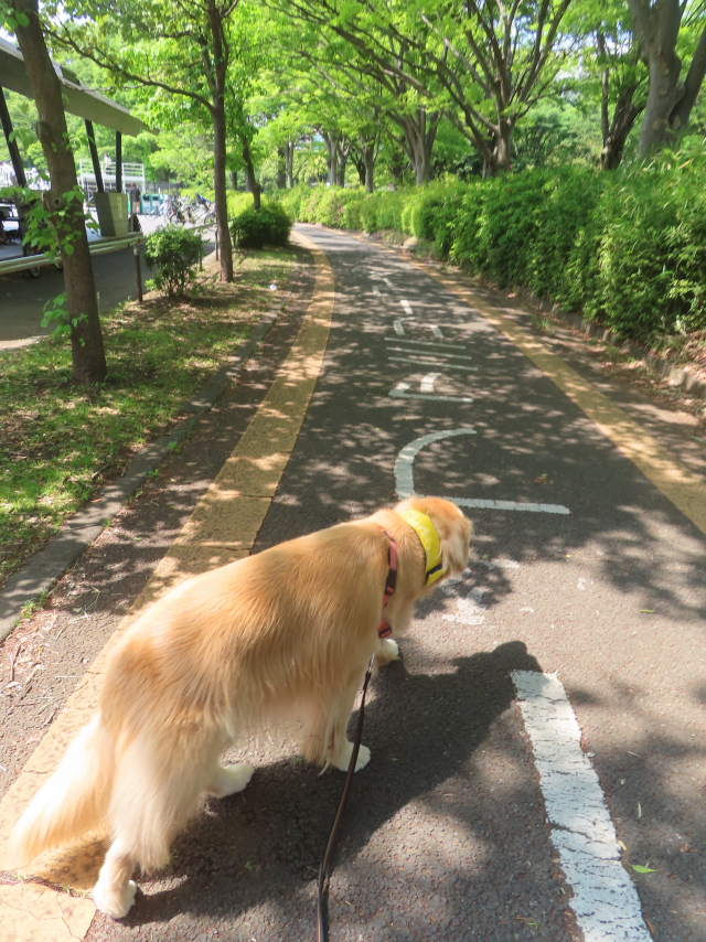 ファイル 8948-1.jpg