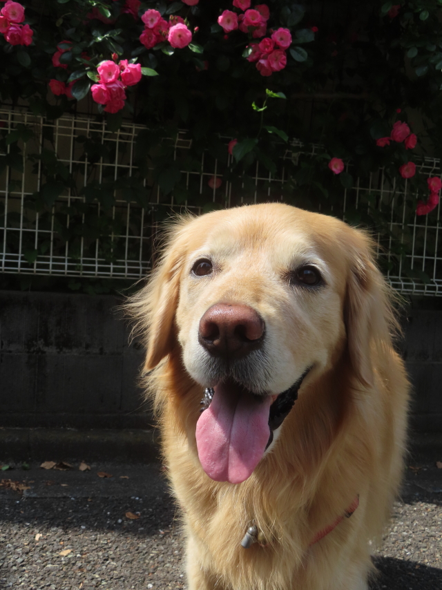 ファイル 8949-1.jpg