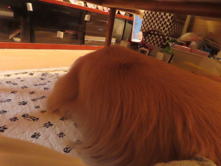 ファイル 8949-4.jpg