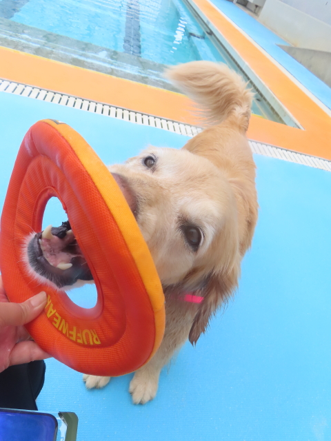 ファイル 8953-3.jpg