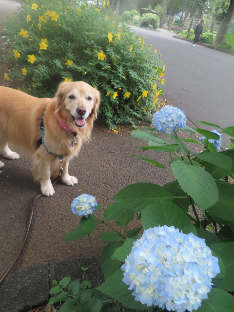 ファイル 8957-2.jpg