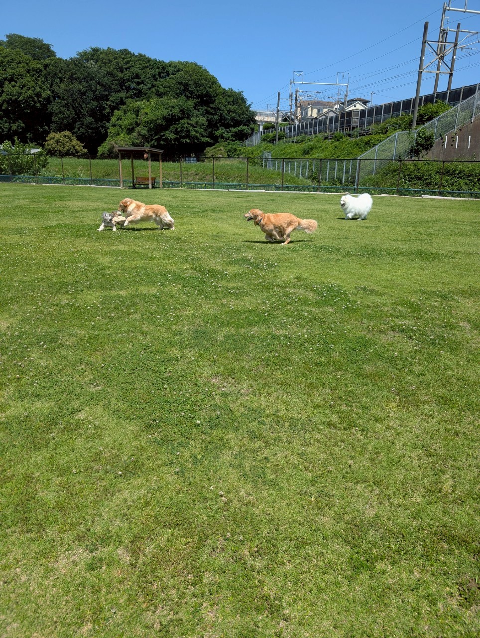 ファイル 8958-1.jpeg