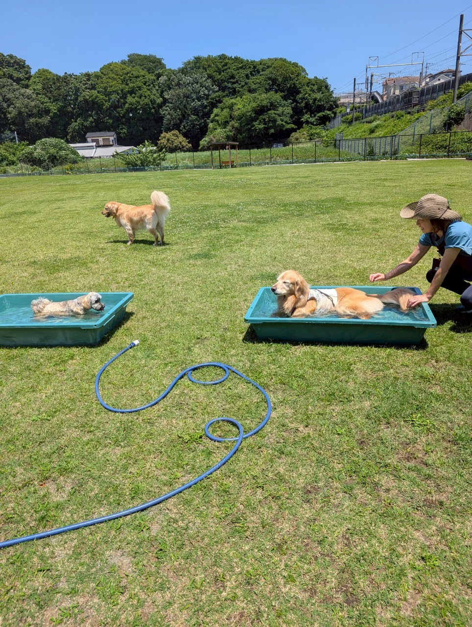 ファイル 8958-4.jpeg