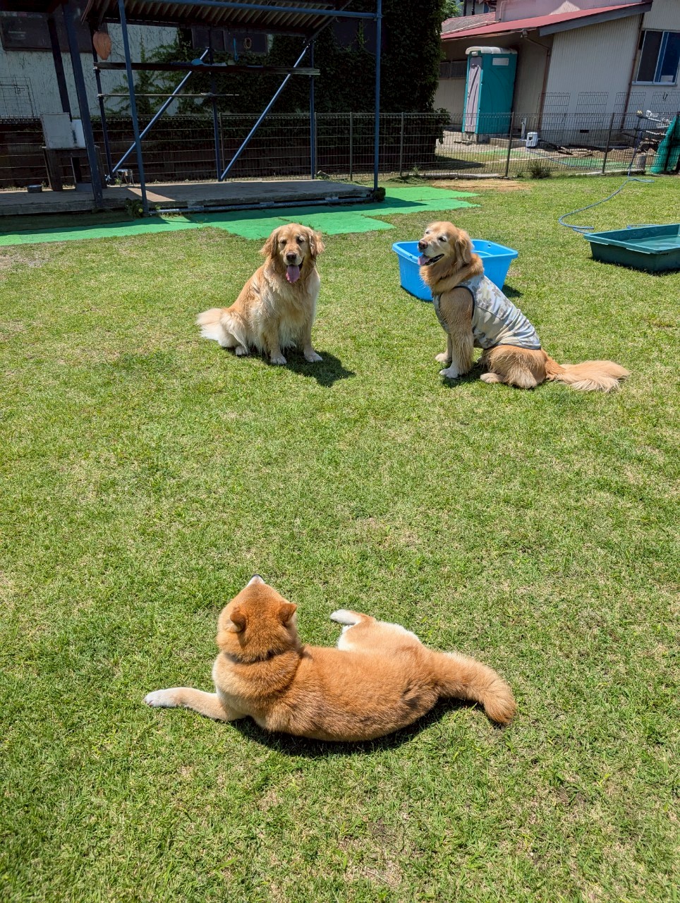 ファイル 8958-5.jpeg