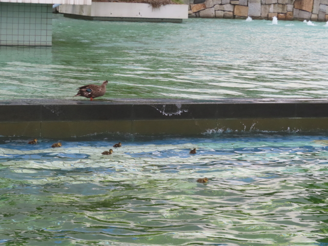 ファイル 8959-2.jpg