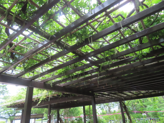 ファイル 8959-5.jpg