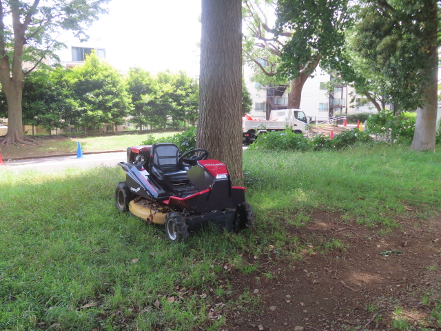 ファイル 8960-1.jpg